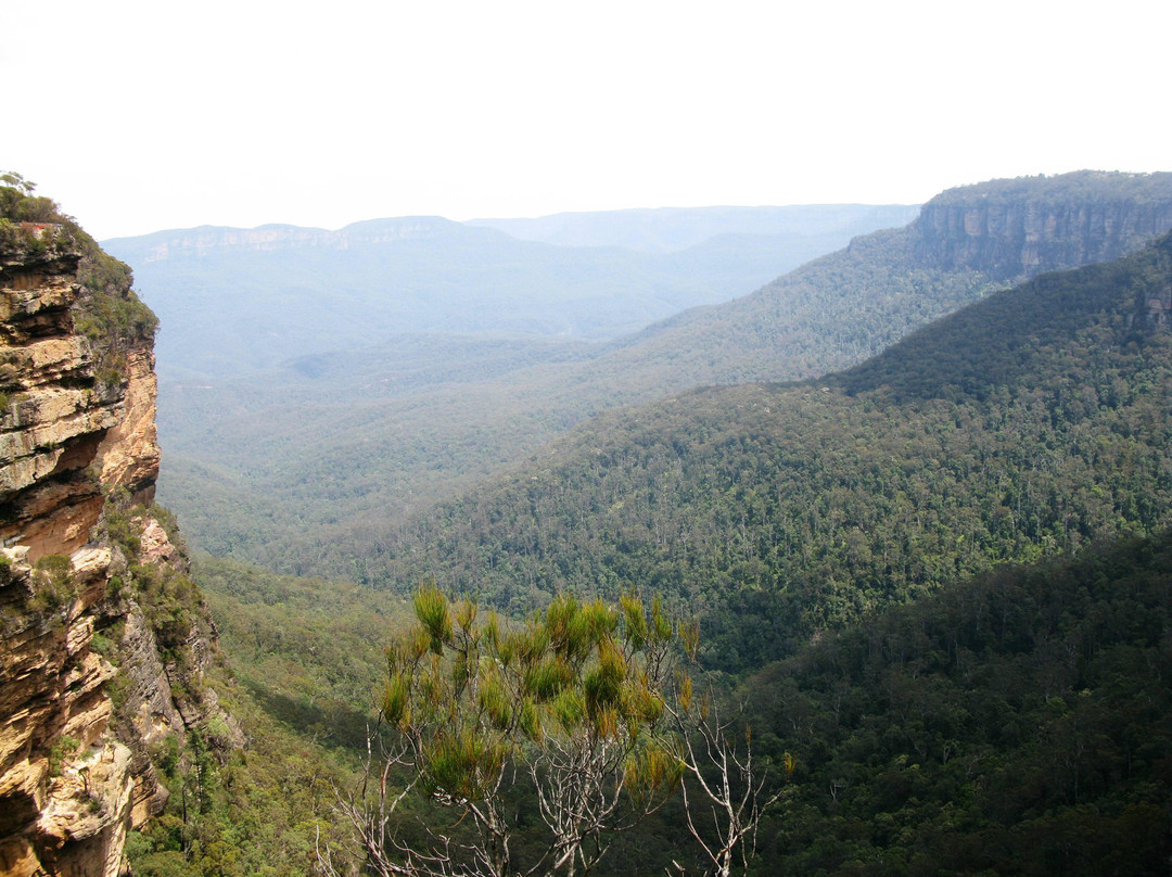 温特沃斯瀑布-温特沃斯瀑布必去景点