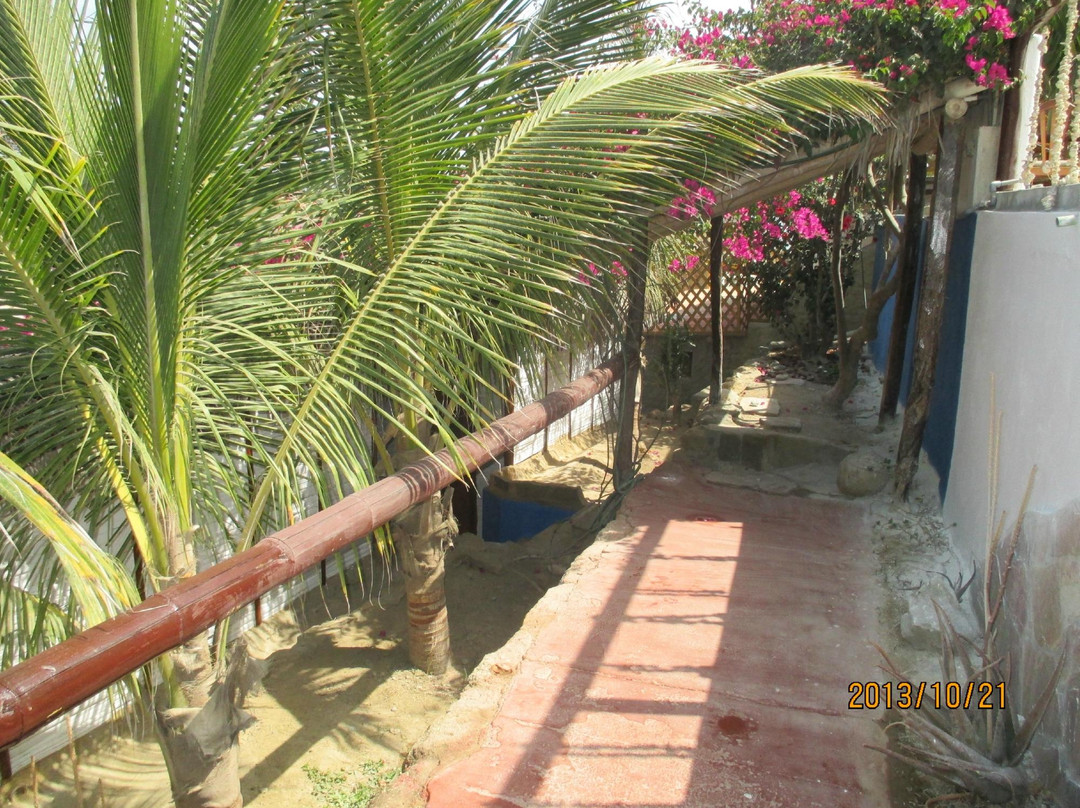 Hospedaje Ecológico Las Terrazas de Punta Sal主图