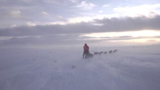 Northern Lights Husky Day Tours-阿尔塔必去景点