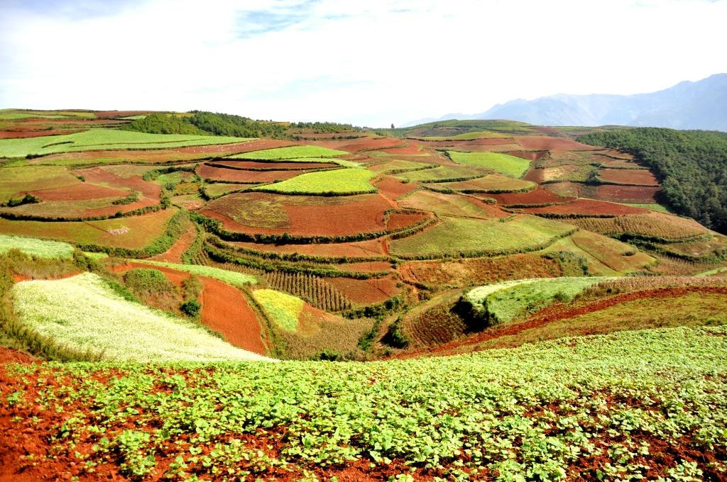 东川红土地-昆明市必去景点