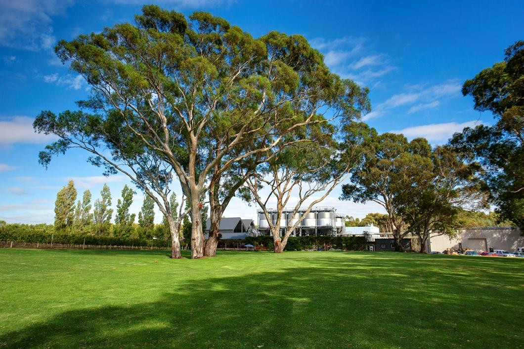 St Hallett Winery & Cellar Door景点图片