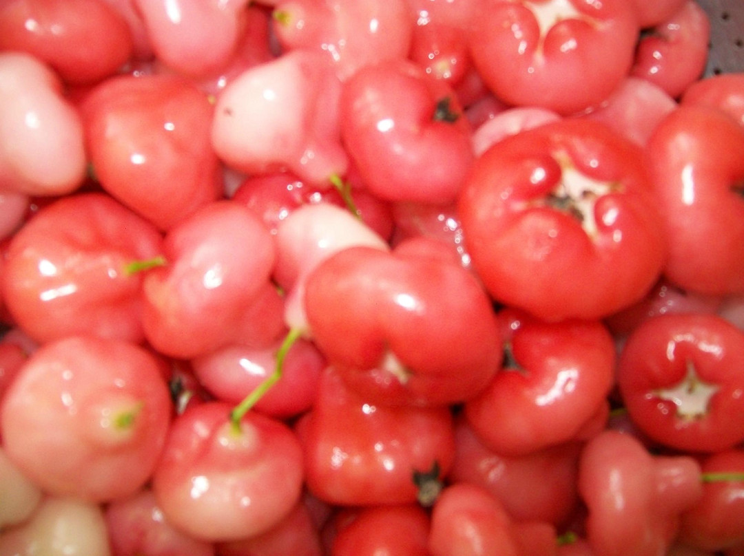 Puliyel Homestay主图