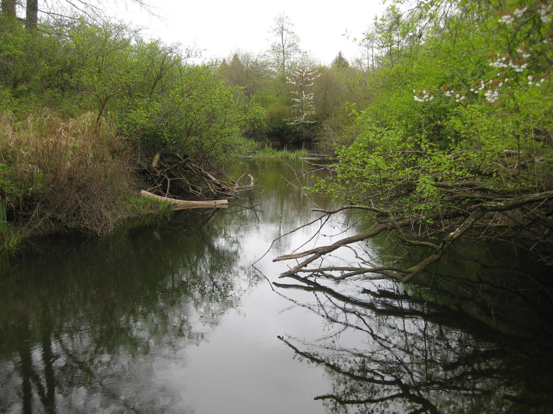 Buttertubs Marsh Park景点图片