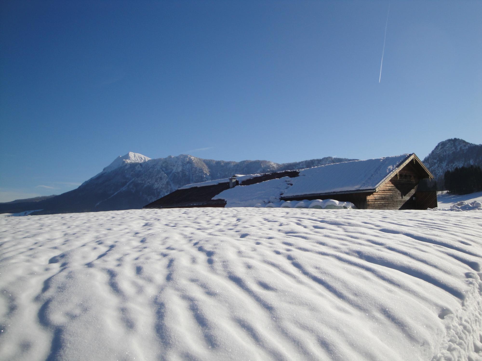 胡贝托伽尼酒店-客卧
