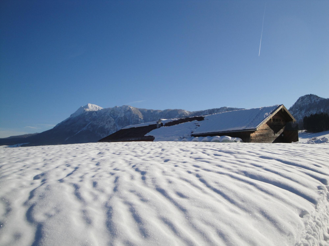 胡贝托伽尼酒店主图