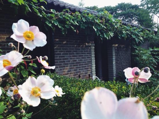 B&B De Houtwal-客卧