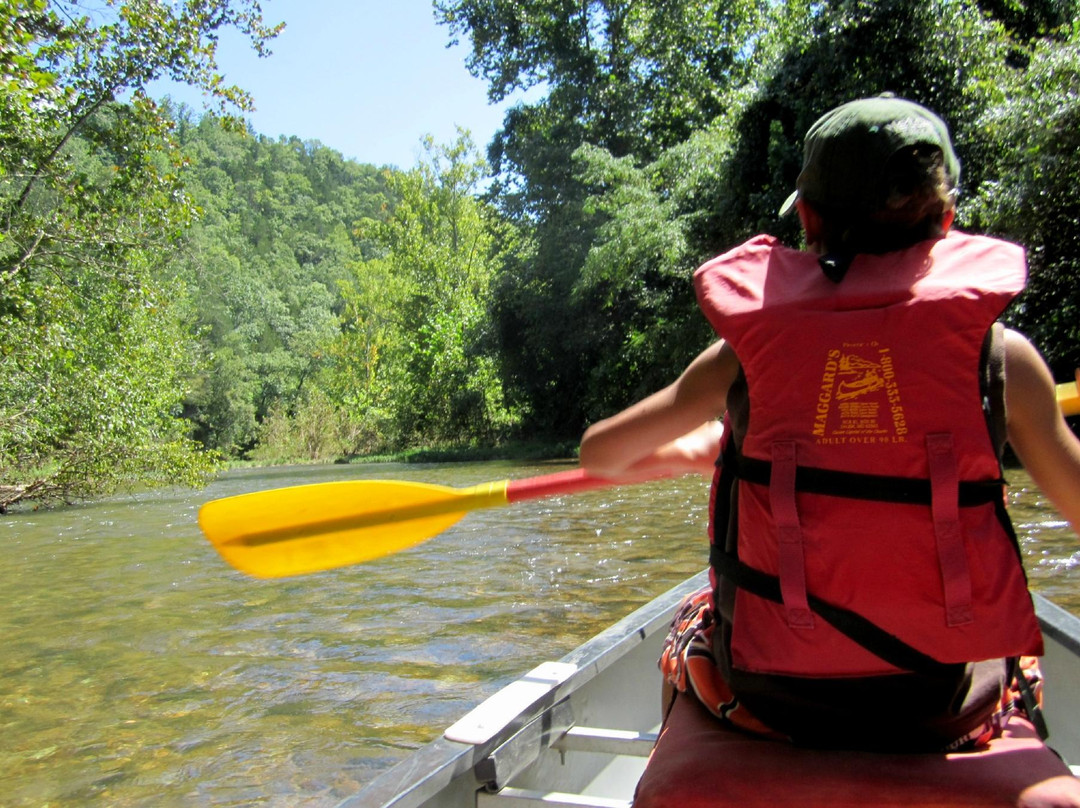 Current River Canoeing Missouri景点图片