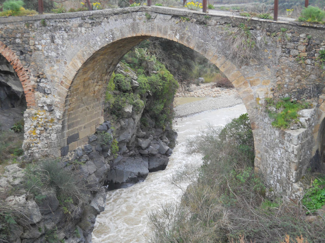 Forre laviche del Simeto景点图片