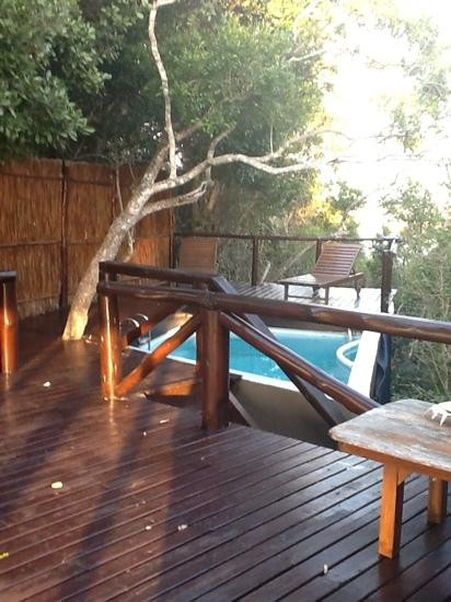 Tree Tops Mozambique