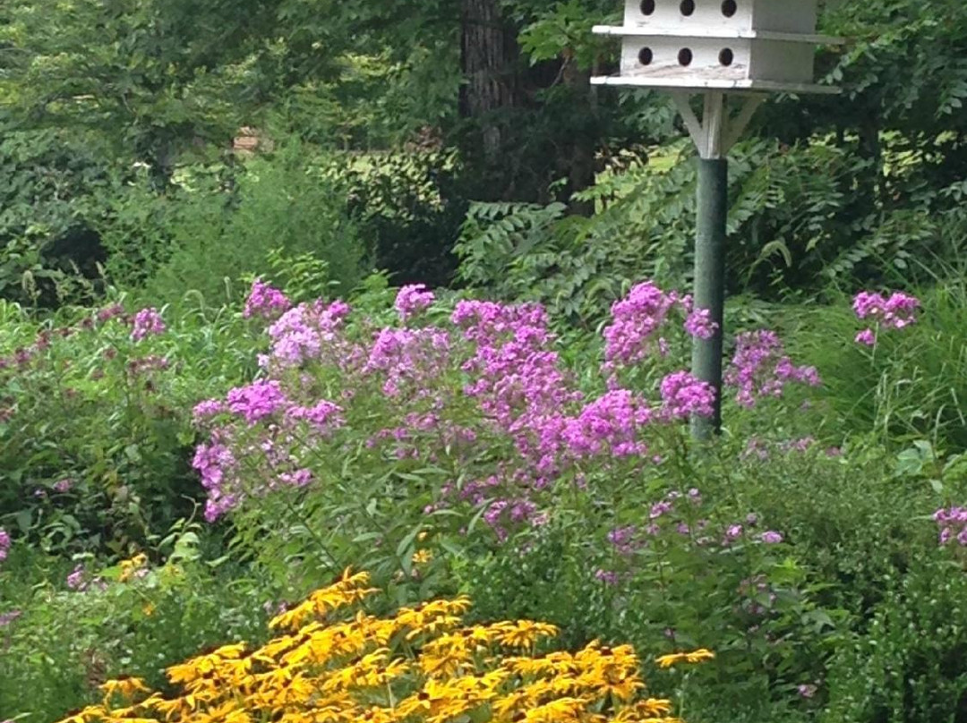 Yountsville Mill-Inn & Garden主图