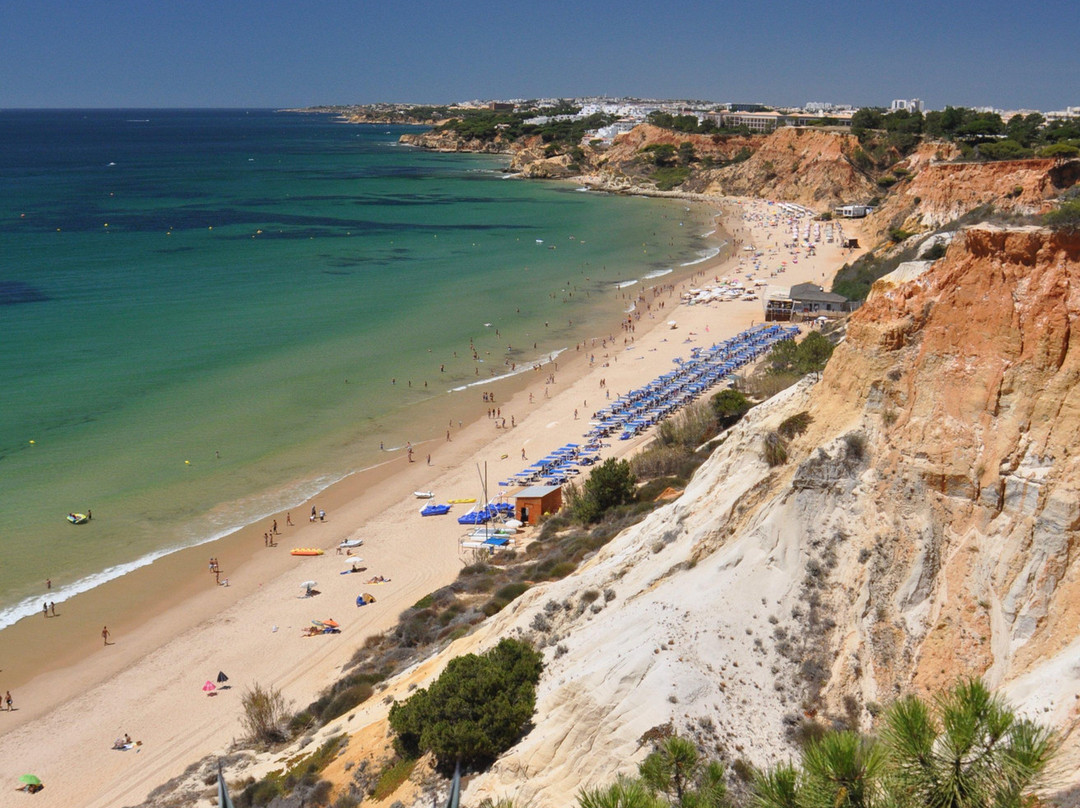 Praia da Falésia景点图片