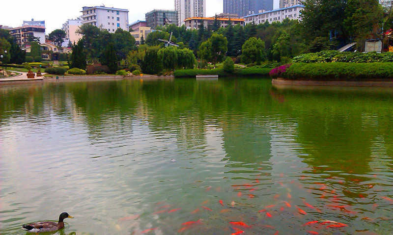 曲靖云上四季连锁酒店龙潭公园店 主图