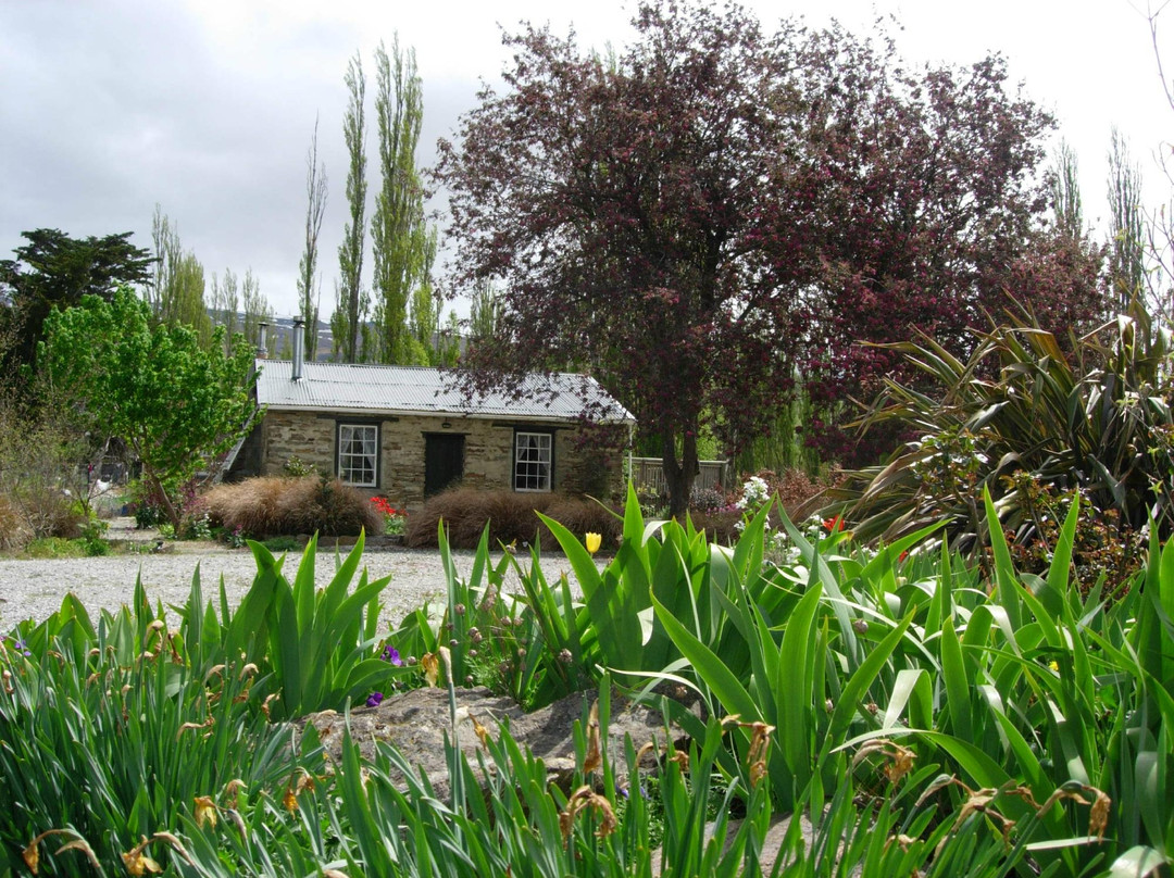 Paddy's Cottage