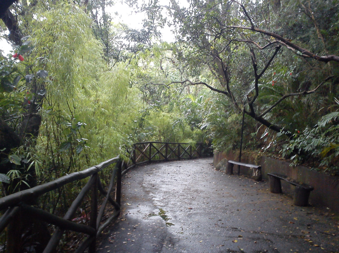 Cascata do Carambei-Sao Roque必去景点