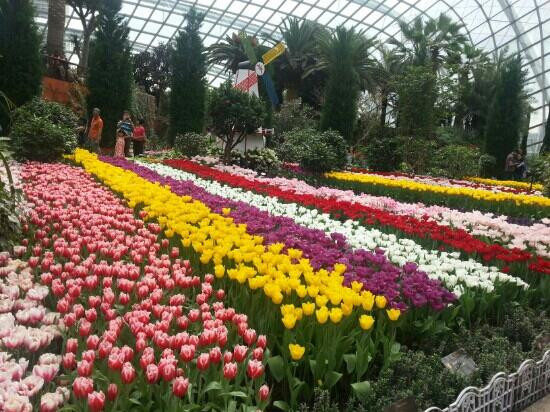 Woodlands-新加坡必去景点