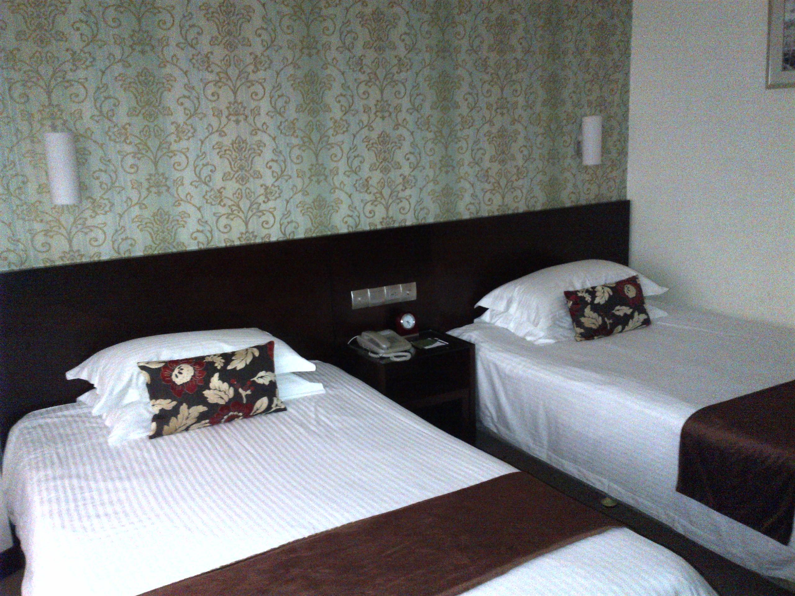 南鹰瑞阁国际酒店-客卧