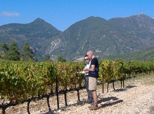Rhone Wine Tours-尼永必去景点