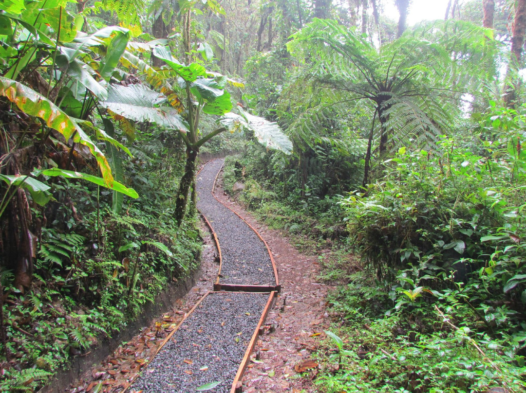 Reserva Bosque Nuboso Santa Elena景点图片
