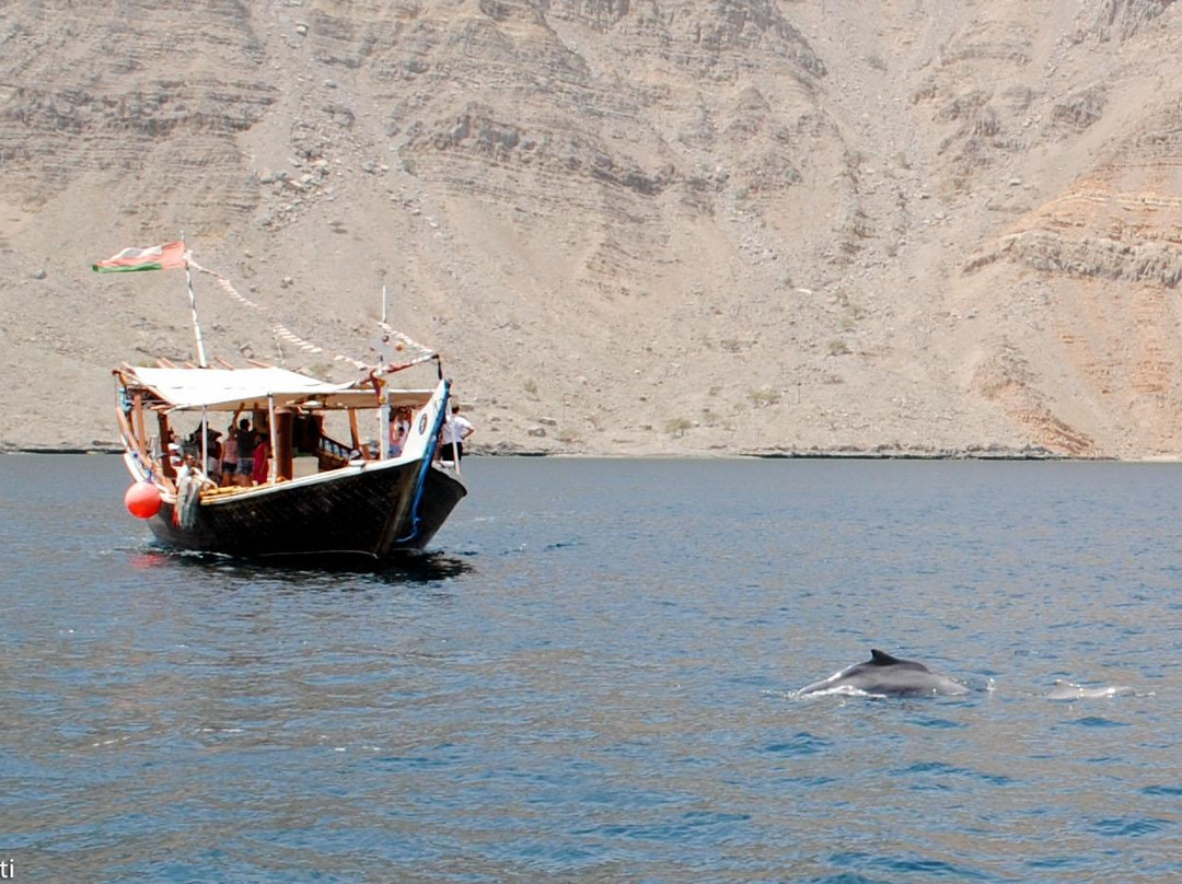Dolphin Khasab Tours景点图片