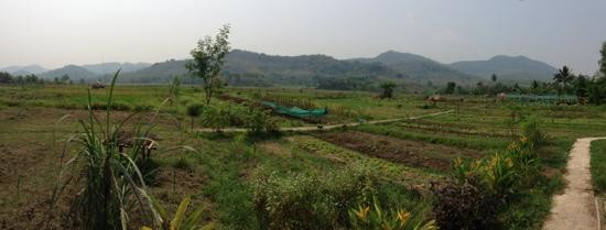 Living Land农场体验之旅景点图片