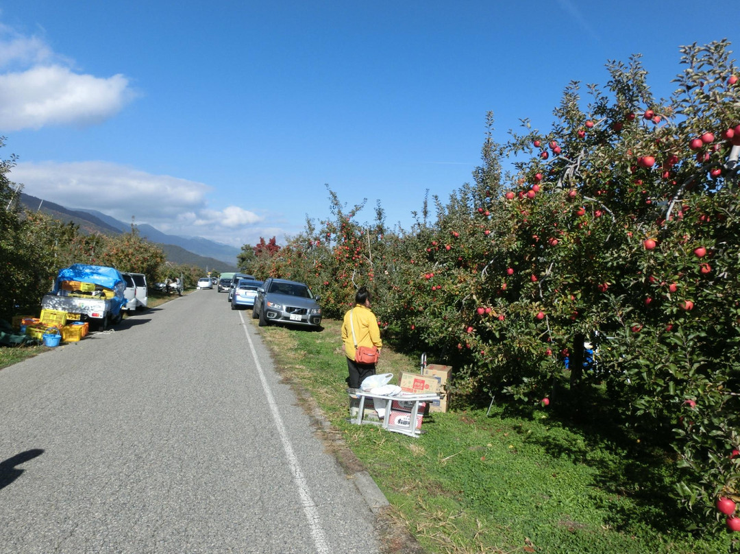 Azumino Tourlist Orchard-安昙野市必去景点