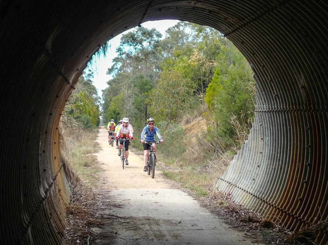 East Gippsland Rail Trail景点图片