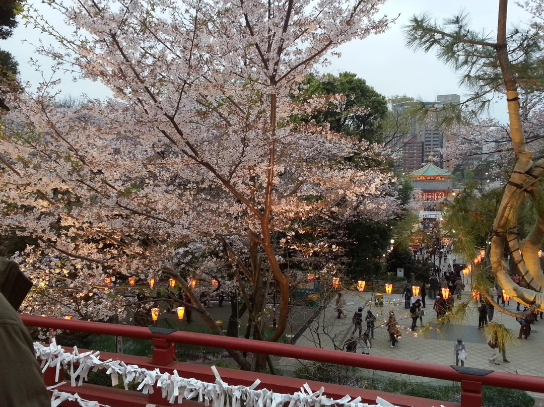 上野-Ueno必去景点
