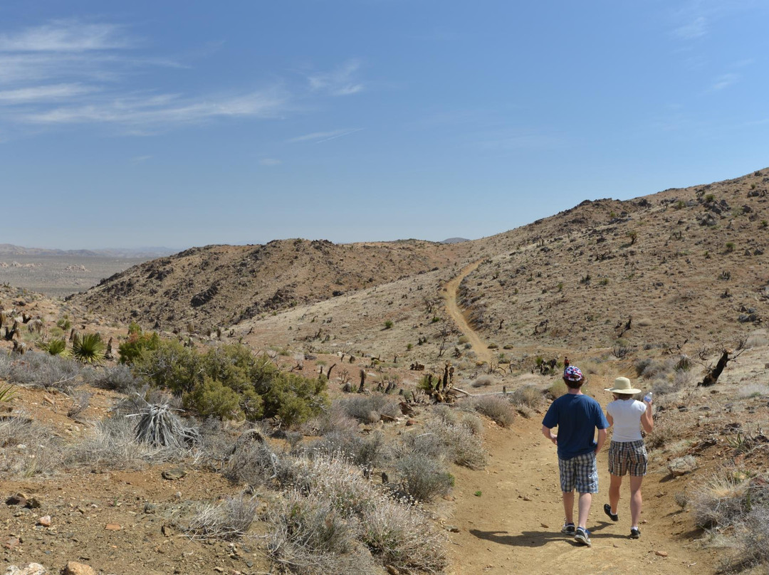 Lost Horse Mine-约书亚树国家公园必去景点
