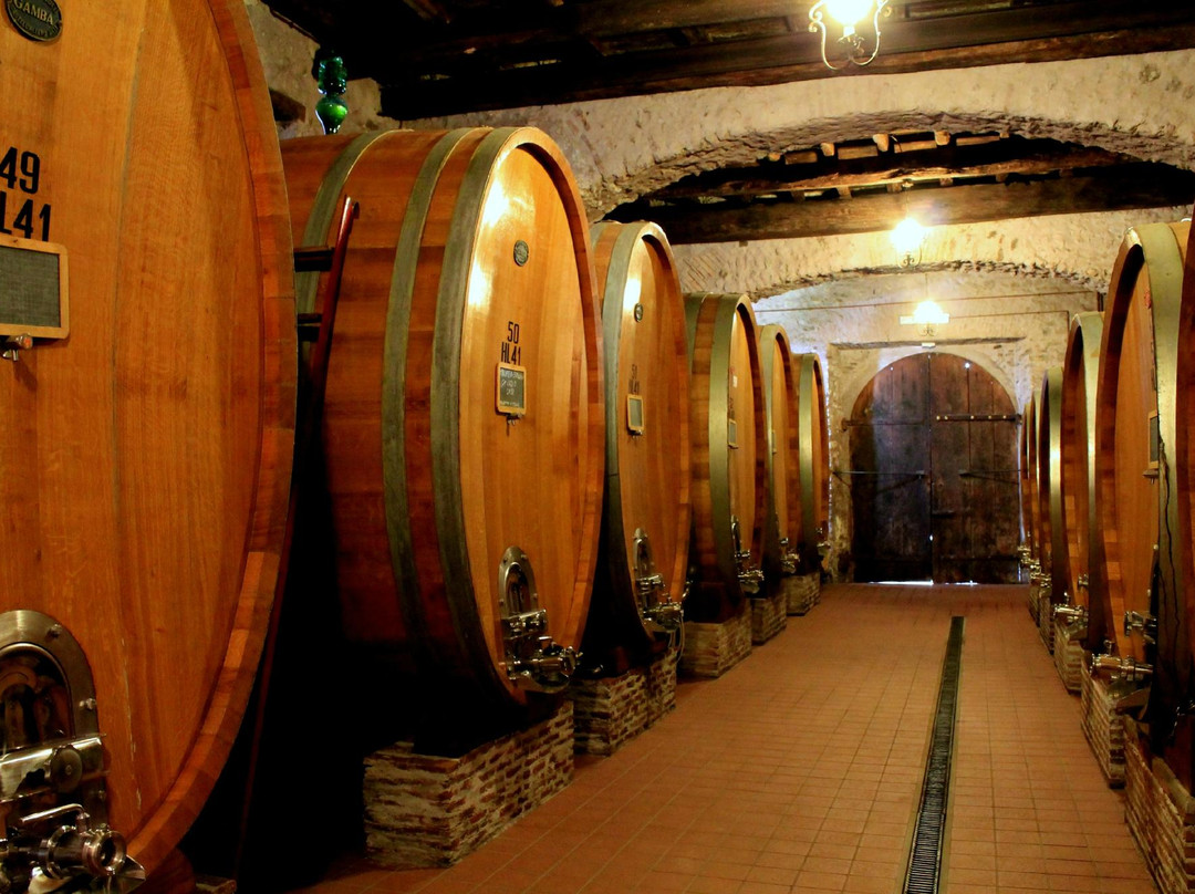 Antiqua Tours: Wine, Cultural and Culinary Experiences景点图片