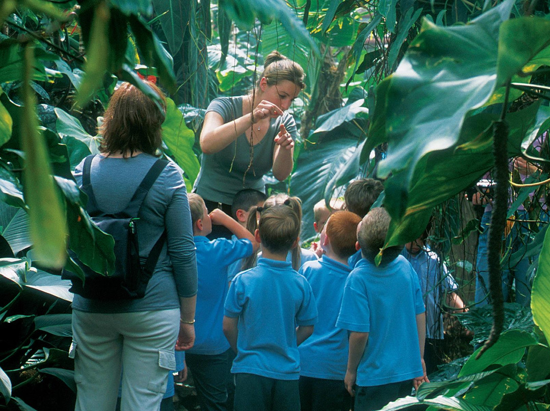 The Living Rainforest-纽伯里必去景点