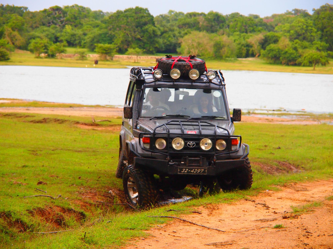 Kumana National Park-Ampara必去景点