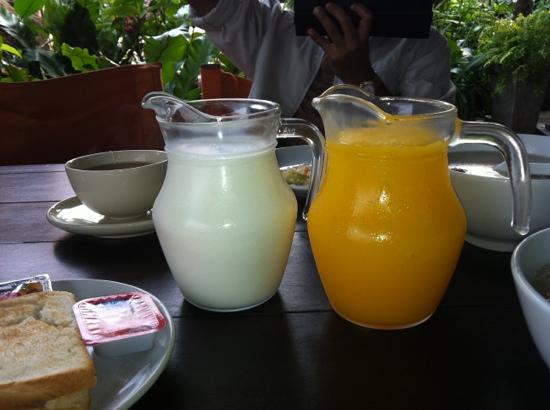 登丁度稻度假村-餐饮