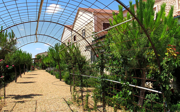 Visita a las Bodegas del Duraton