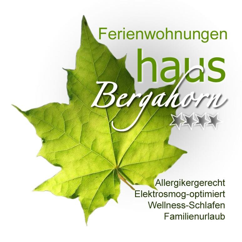 Familienurlaub Haus Bergahorn