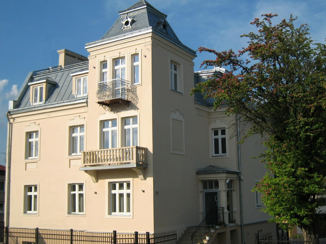 Dobromyl酒店住宿-Villa Neve