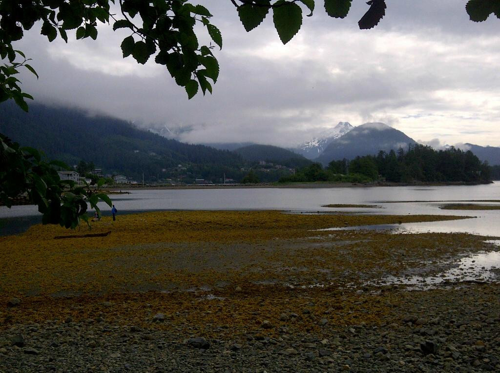 Sitka National Historic Park/Totem Park-锡特卡必去景点