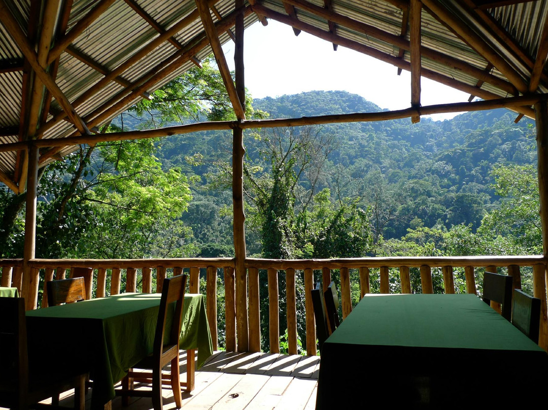 The Buhoma Community Rest Camp
