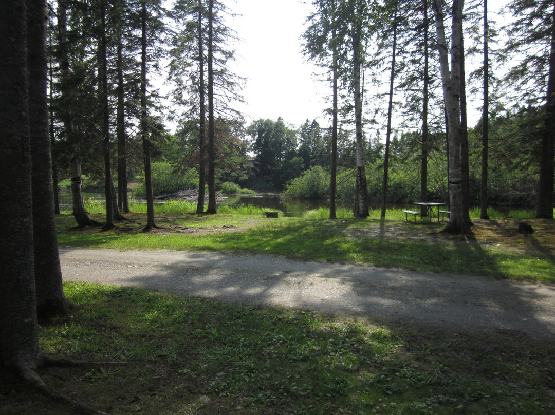 Moose River Campground