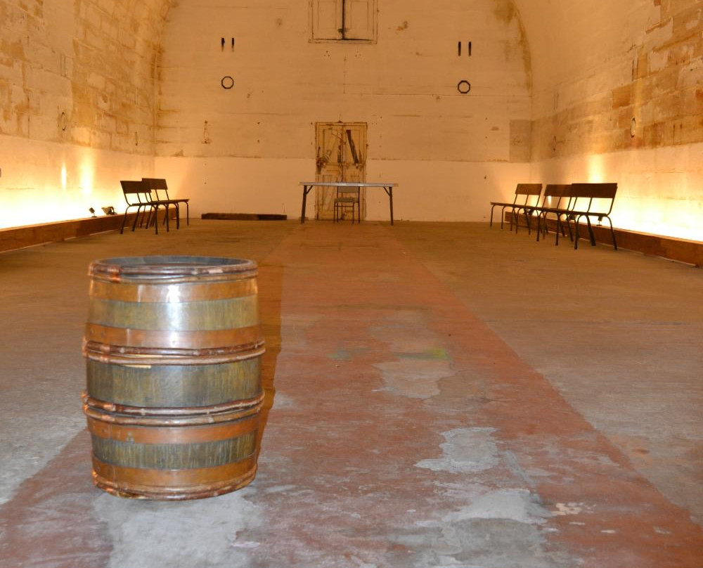 Convict, Castles and Champagne Tour-悉尼必去景点