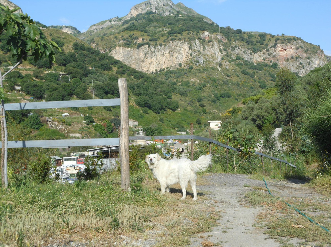 Casale Praia主图