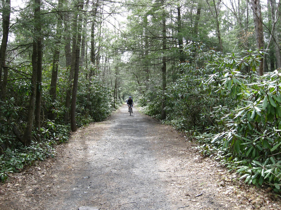Pocono Biking-吉姆索普必去景点