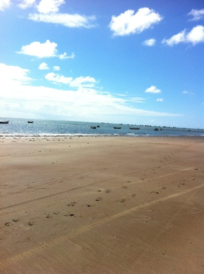 Pontal do Peba Beach-Piacabucu必去景点