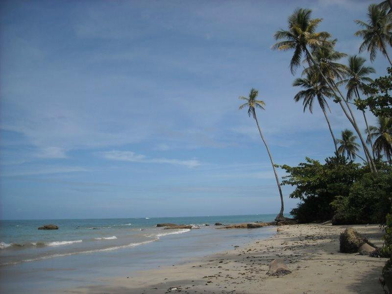 Velha Boipeba Beach-Ilha de Boipeba必去景点