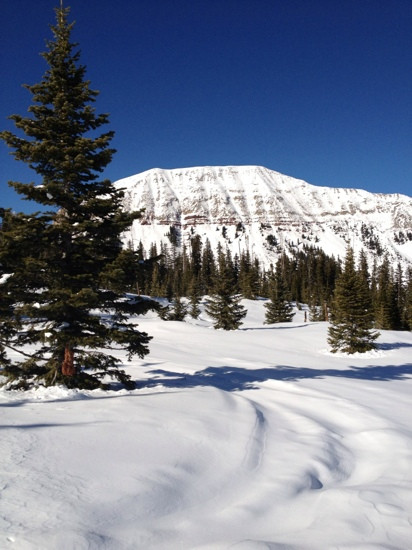Snowmobile Adventures-杜兰戈必去景点