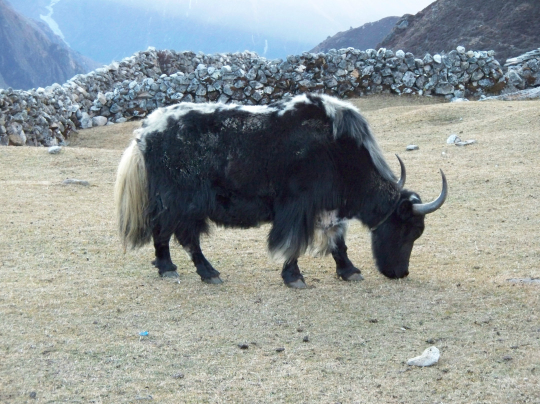 Trek Into Thin Air-Banepa必去景点