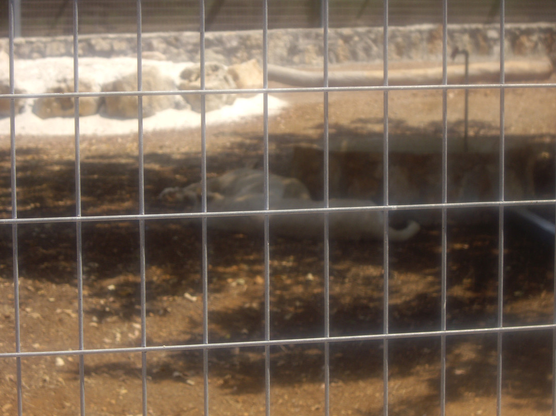 Pafos Zoo-帕福斯必去景点