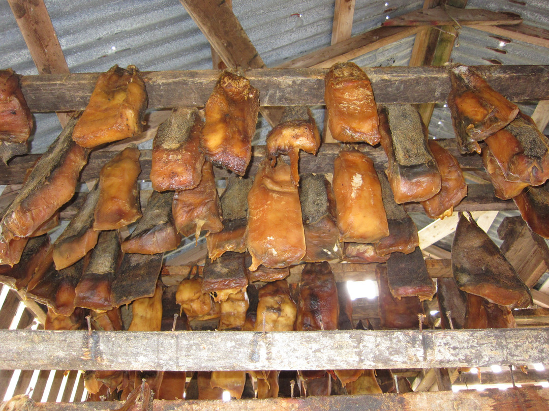 Bjarnarhofn Shark Museum-Bjarnarhofn必去景点