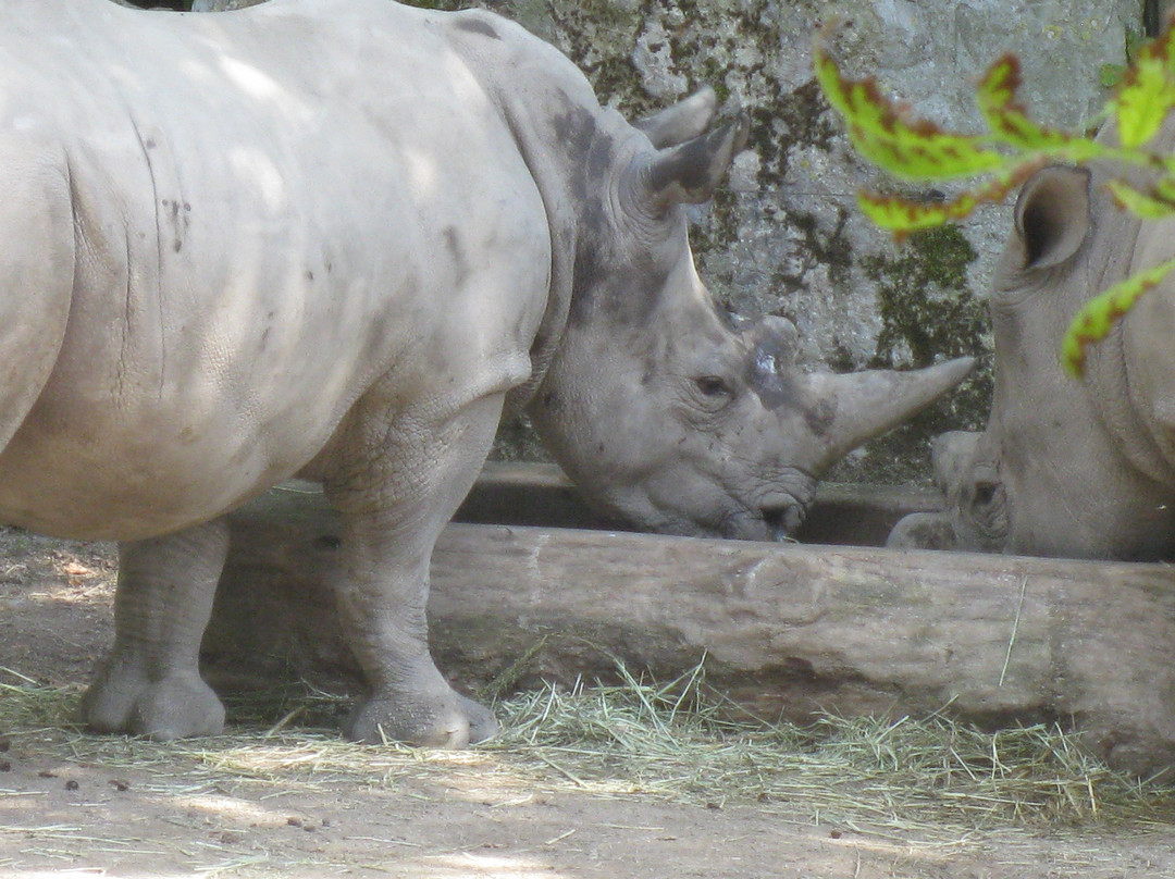 Zoo de Lille-里尔必去景点