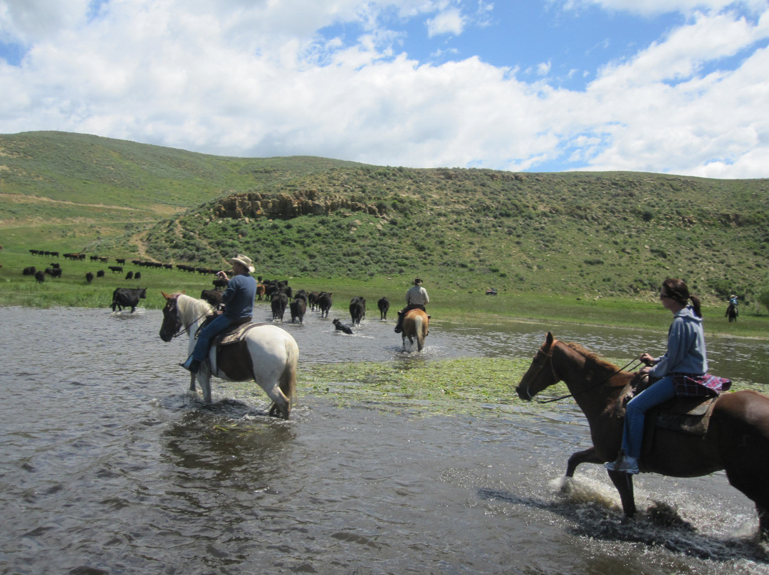Saddleback Ranch-斯廷博特斯普林斯必去景点