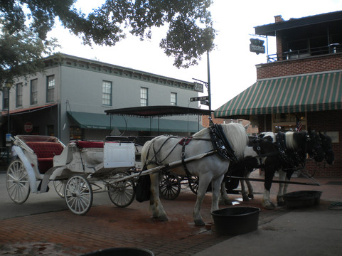 Carriage Tours of Savannah-萨凡纳必去景点